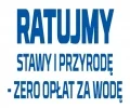 Zdjęcie z galerii