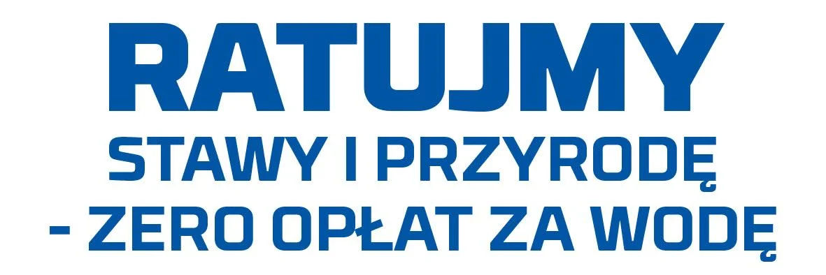 Zdjęcie z galerii